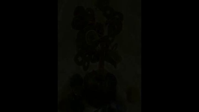 Feng Shui Products - Wealth or Money Tree смотреть онлайн