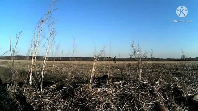 Охота на гуся 2019 вся правда как есть. смотреть онлайн