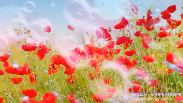 С 8 МАРТА 🎊🎉🎉 ДЕВЧОНКИ!!!❣️🎉🎊🎊🧡🧡💖💋💋💘♥️♥️💛💛💚💕💕💌💌💙💜💟🖤❣️💞💓💓💛💛💙💙💙💙💙😇😇😇 смотреть онлайн