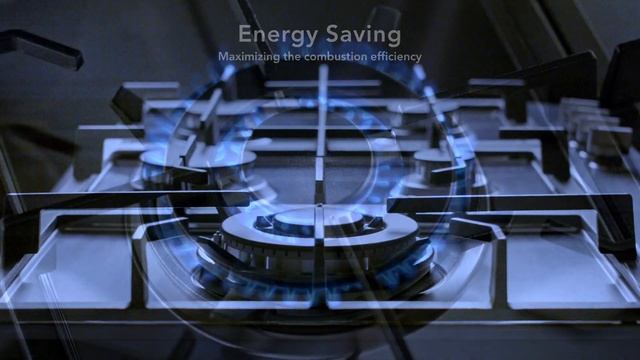 Firenzzi 5 Burners Stainless Steel Built-in Gas Hob FH-9500 SS смотреть онлайн