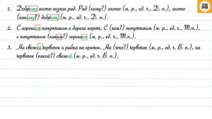 Упражнение 27, стр 16. Русский язык 4 класс, часть 2.