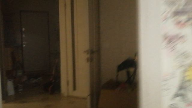 VID_20240825_205550.mp4