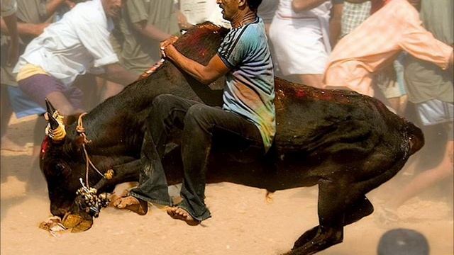 Metallica - Nothing else matters (fan-video) смотреть онлайн