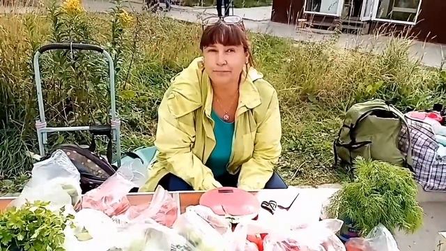 Грибы сентября 2020.. Торговля на уличном рынке в Перми.. смотреть онлайн