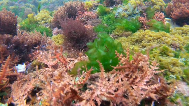 Beauty of Ocean | Taiwan смотреть онлайн