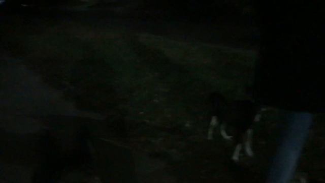 VLOG/ностальгия/Ян и Рокки смотреть онлайн