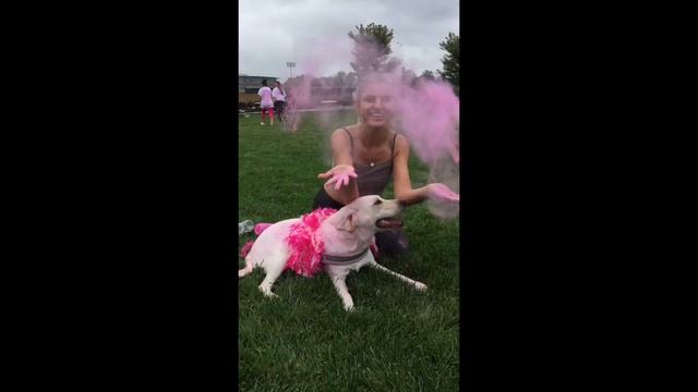 Pink up the Pace Color Run смотреть онлайн