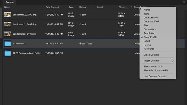 Adobe Bridge 2021 Workspace Problems смотреть онлайн