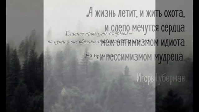 Видео цитаты смотреть онлайн