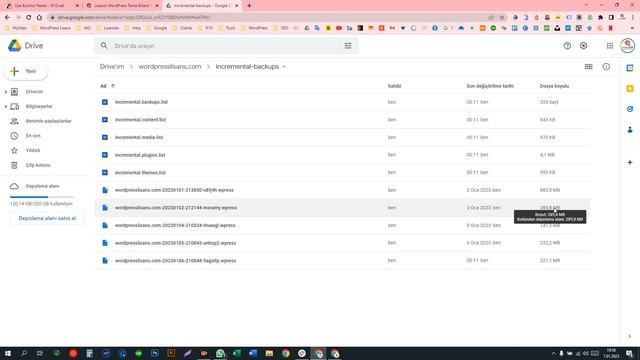 All-in-One WP Migration Unlimited ve Google Drive Extension Kullanımı смотреть онлайн