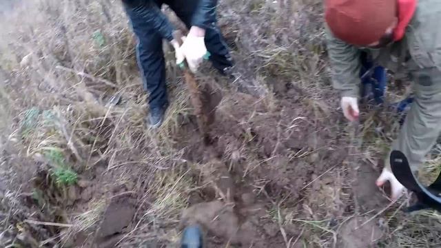 МУЖИК показал МЕСТО где копать и НЕПОЖАЛЕЛ об этом! смотреть онлайн