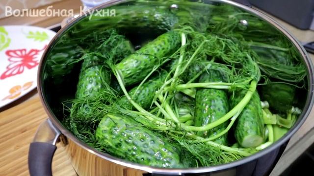 Вегетарианские Кафе и Рестораны