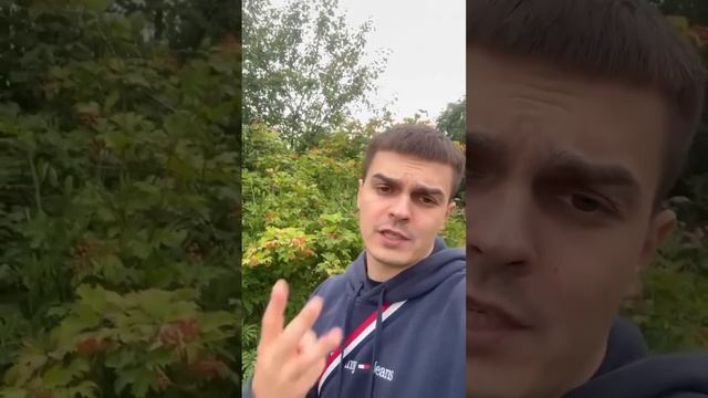 Помог купить новую соньку #рекомендации #работа смотреть онлайн