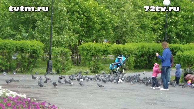 дети тюмени смотреть онлайн