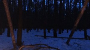 Ночёвка в зимнем лесу.  Постройка чума (вигвама)