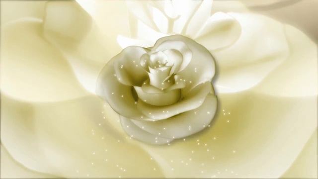 Белые Розы смотреть онлайн