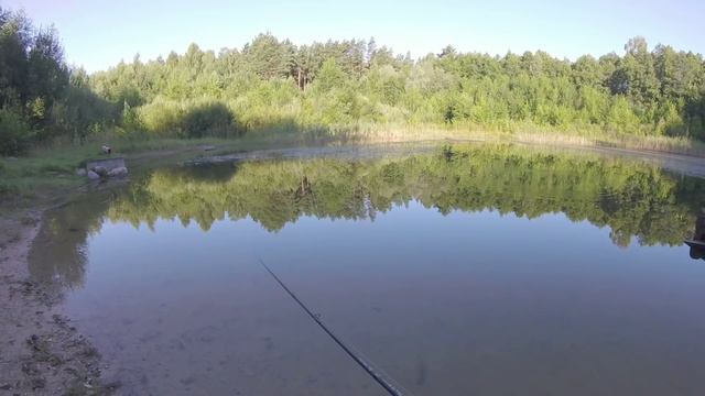 Кастинговый твитч спиннинг Maximus Manic 7-35 гр, 210, 115 гр. Честный обзор