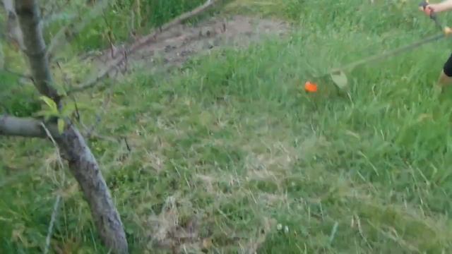 IL Женщины Девушки косят траву мотокосой бензокосой косой Girls mow grass with brushcutter 20190602 смотреть онлайн