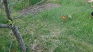 IL Женщины Девушки косят траву мотокосой бензокосой косой Girls mow grass with brushcutter 20190602