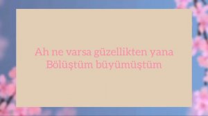 Ahmet Kaya - Penceresiz Kaldım Anne (Lyrics)