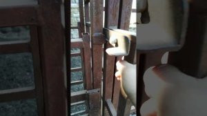 Раскол для обработок КРС  1