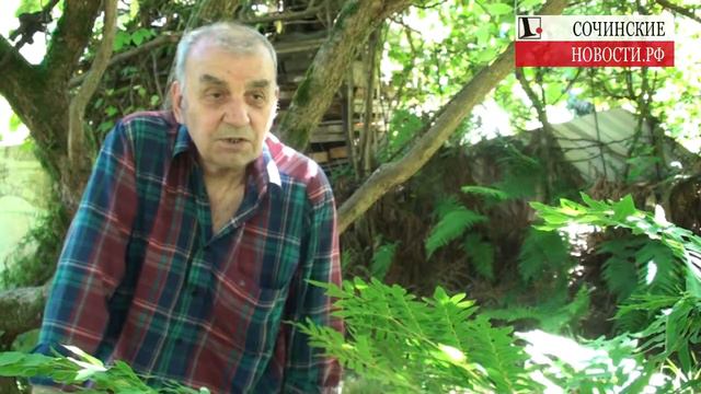 Сохранение исчезающих растений Имеретинской низменности смотреть онлайн