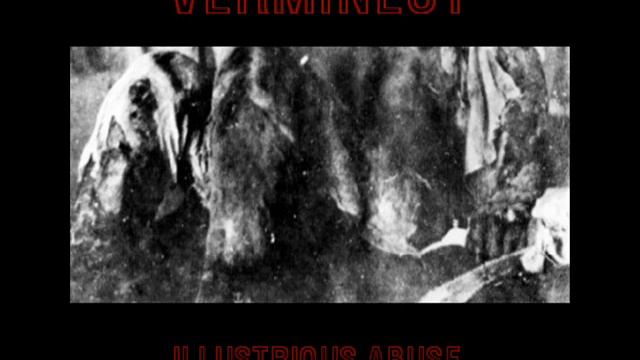 VERMINEST - Sink смотреть онлайн