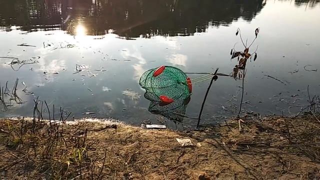 Рыбалка при плохом клёве. Чистка реки. Погоня за аистом. смотреть онлайн