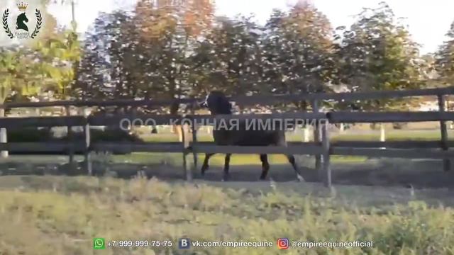 У 219 смотреть онлайн