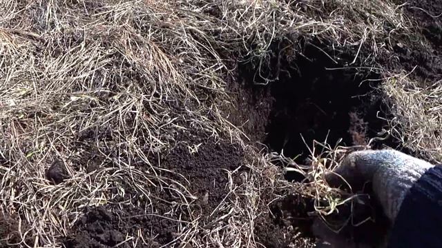 Первый выход с Эквинокс 800 Слабонервным не смотреть... Кладоискатели The first exit EQUINOX 800 смотреть онлайн