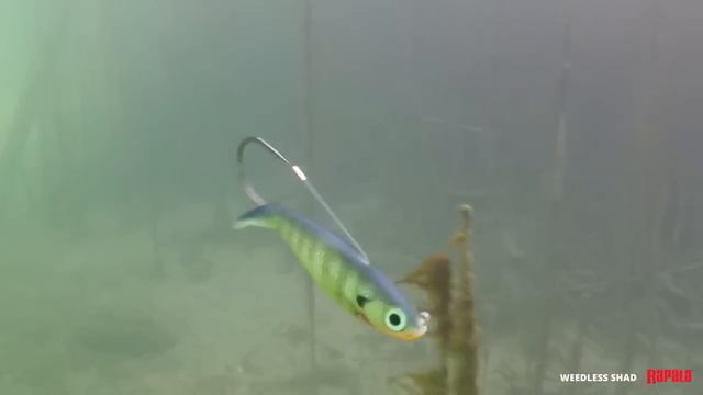 Новая незацепляйка от Rapala - Weedless Shad смотреть онлайн