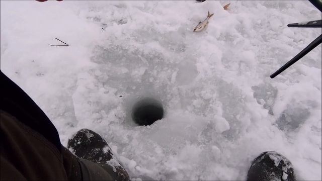 Рыбалка на мормышку . Глухозимье . смотреть онлайн