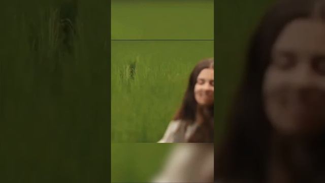 эстетика к книге "Сокол и Ворон". Автор эдита tsarevnacore смотреть онлайн