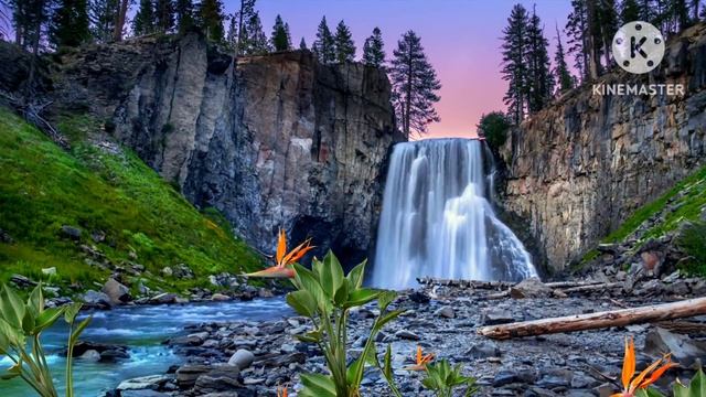 Tranquility Deep-Sleep Relaxing Music for Meditation Music..#ntr@196 смотреть онлайн