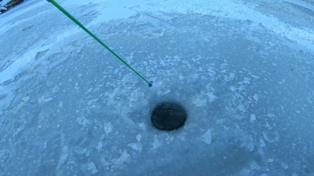 Открытие зимнего сезона по хариусу.Река первая.Не клюет. смотреть онлайн