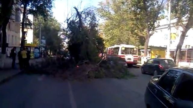 На машину, на левое полосе дороги упало дерево.mp4 смотреть онлайн
