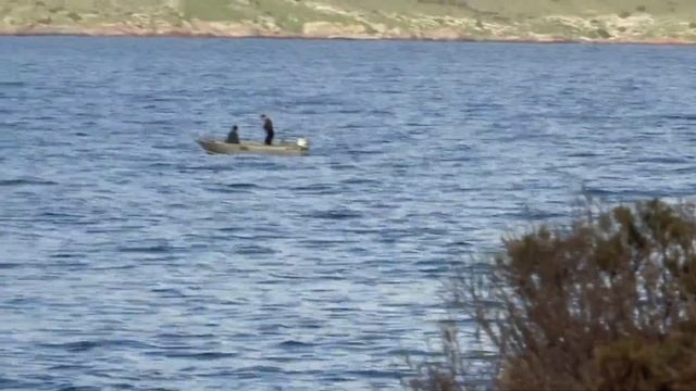 Fisheries Officers Catch Illegal Abalone Divers In South Australia | Abalone Wars смотреть онлайн