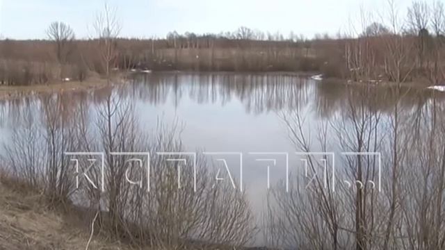 Тысячи погибших рыб - массовый замор на озерах в Арзамасском районе. смотреть онлайн