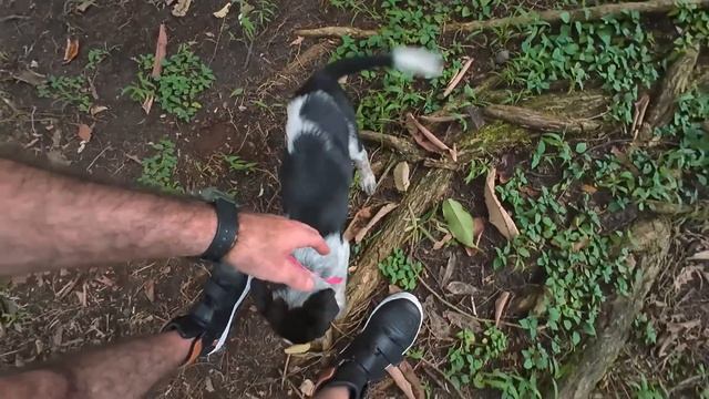 NUNCA PENSE QUE LAS RUTAS DE COSTA RICA FUERAN ASI??? | SAN JOSE Y LA FORTUNA? смотреть онлайн