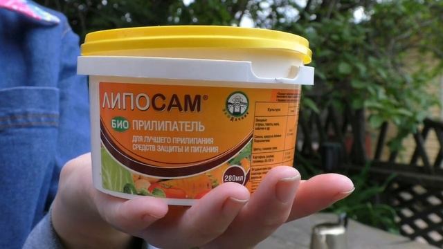 Обрабатываем груши от ржавчины смотреть онлайн