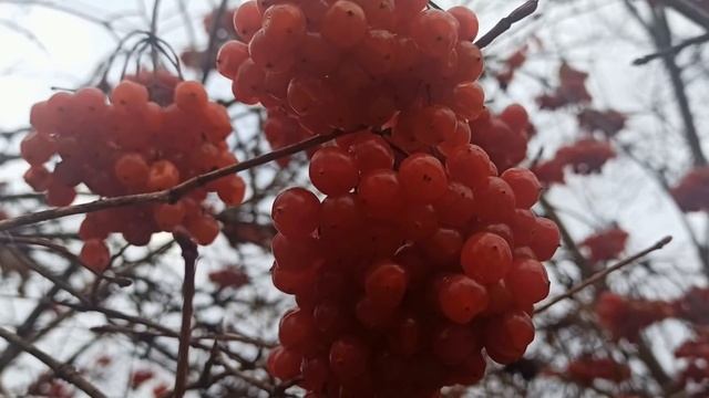 5 января праздник Федулов день. Главные запреты дня. Что нужно сделать. Народные приметы и традиции смотреть онлайн