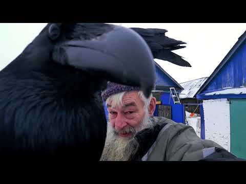 Чаша Чуя. Сказка про чуйку и осознание. смотреть онлайн