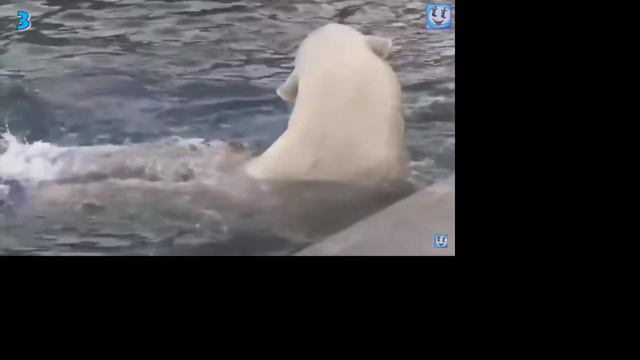Лутшие дружбы человека и животных смотреть онлайн