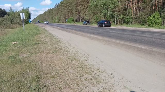 Брянск Бежицкий район остановка дом интернат в сторону города по Дятьковской трассе 24.05.2023 смотреть онлайн
