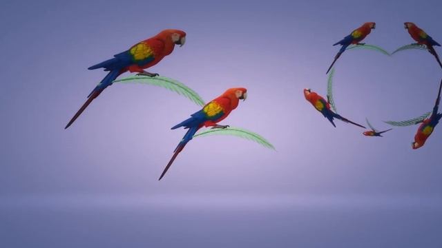 попугаи (Вика) смотреть онлайн