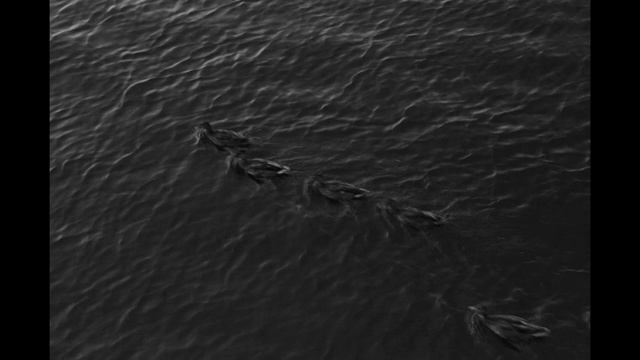 Слёзы смотреть онлайн