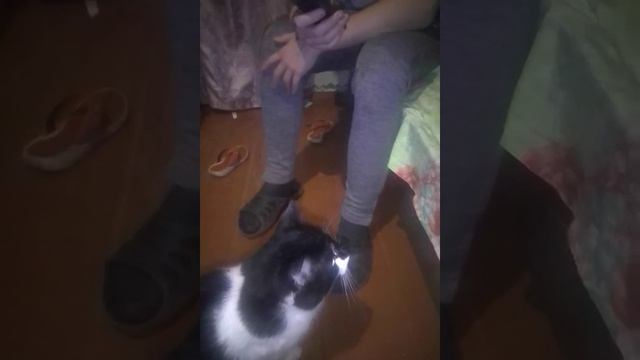 18 декабря 2019 г. смотреть онлайн