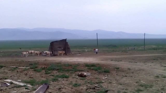 Сибирская деревня смотреть онлайн