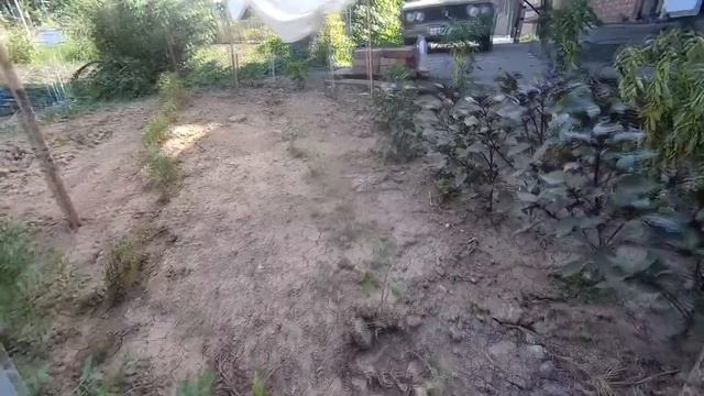 Промежуточный итог смотреть онлайн