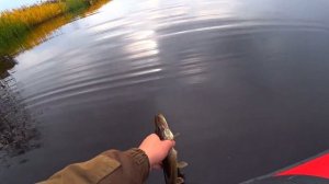 Ловля ЩУКИ на спиннинг.Рыбалка на Волге!!!